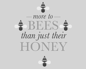 More to Bees than Just their Honey