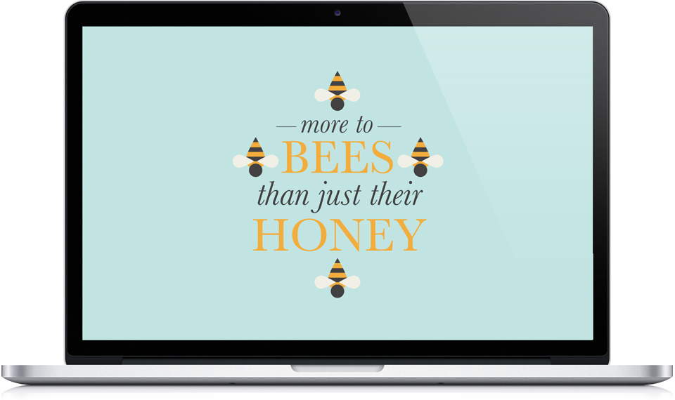 More to Bees home page